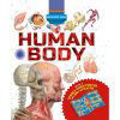 Picture of Discovery Pack: Human Body