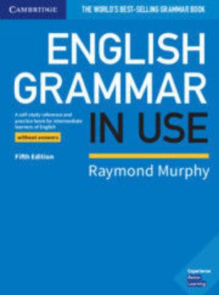 圖片 English Grammar in Use Book without Answers