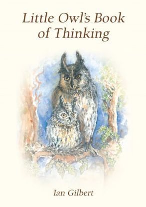 Picture of Little Owl's Book of Thinking: An Introduction to Thinking Skills