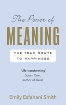 Picture of The Power of Meaning: The true route to happiness