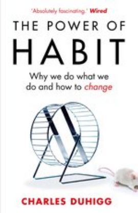 Picture of The Power of Habit:  Why We Do What We Do, and How to Change