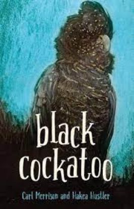 Picture of Black Cockatoo