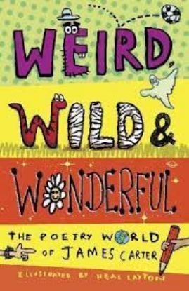 Picture of Weird, Wild and Wonderful