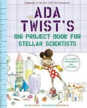 Picture of Ada Twist’s Big Project Book for Stellar Scientists